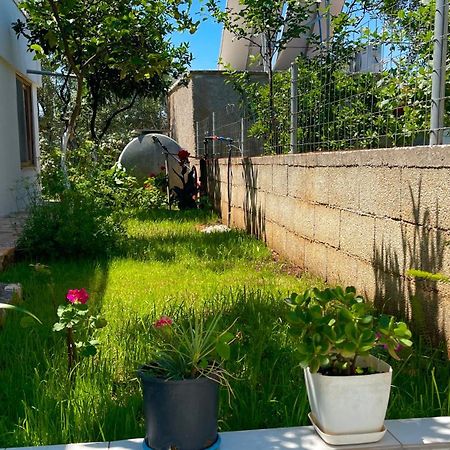Guesthouse Shehu คซามิล ภายนอก รูปภาพ